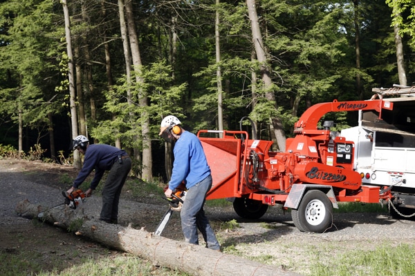 Arbor Services sawing log