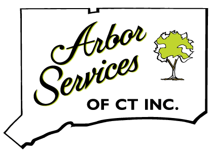 Arbor Services of CT Inc logo