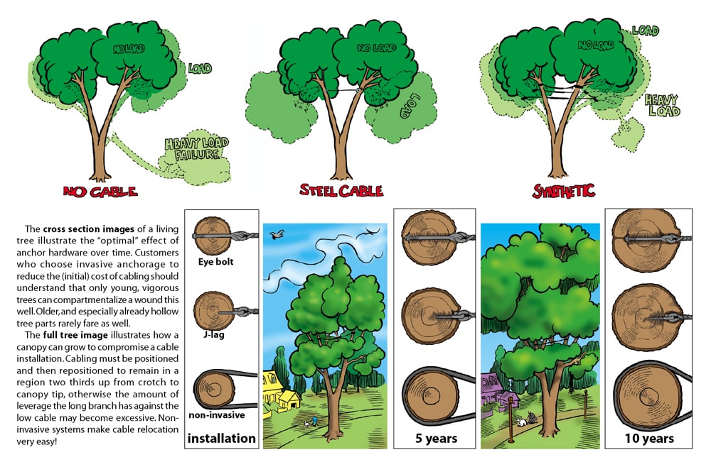 Tree cabling diagram
