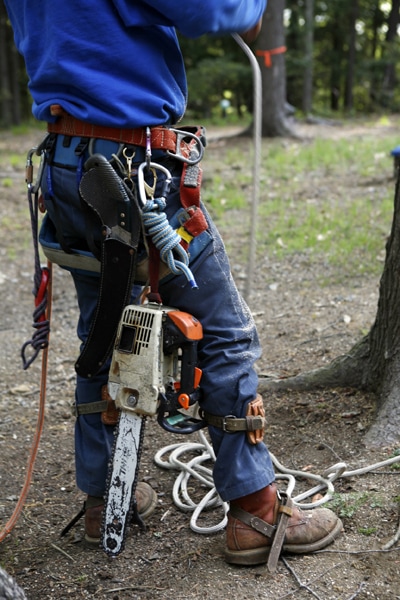 Arbor Services worker with chainsaw