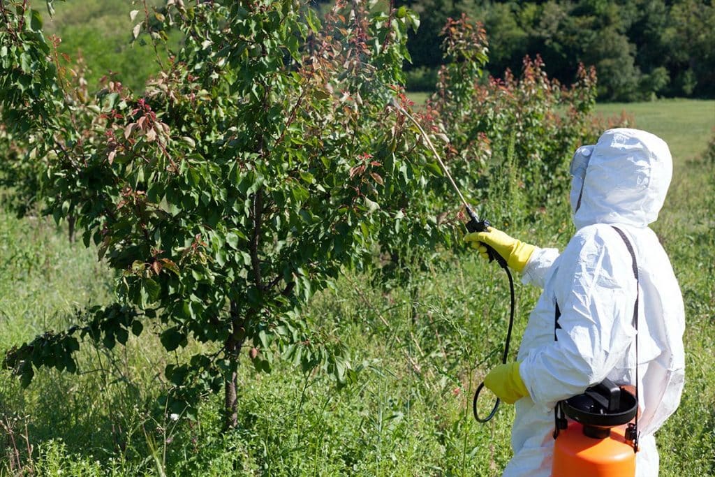 Arbor Services worker spraying pesticide on tree