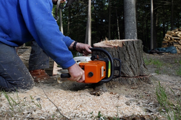 Arbor Services worker grinding stump