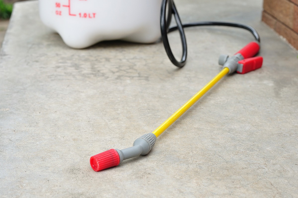 CT Tick Control Tick Management Arbor Services of Connecticut