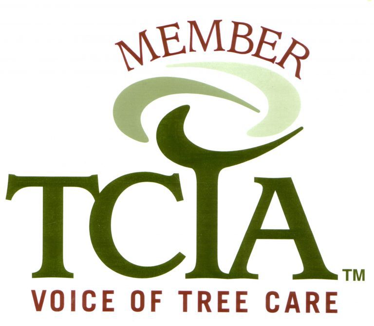 Arbor Services is a TCIA member